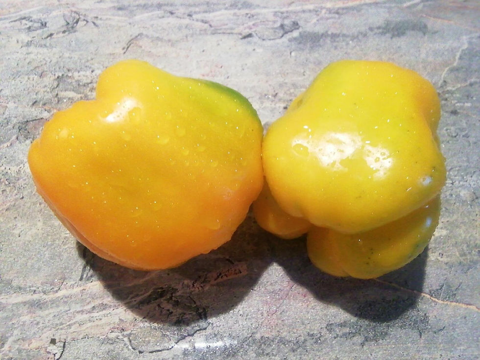 П 316 - Golden reserve / Золотой запас