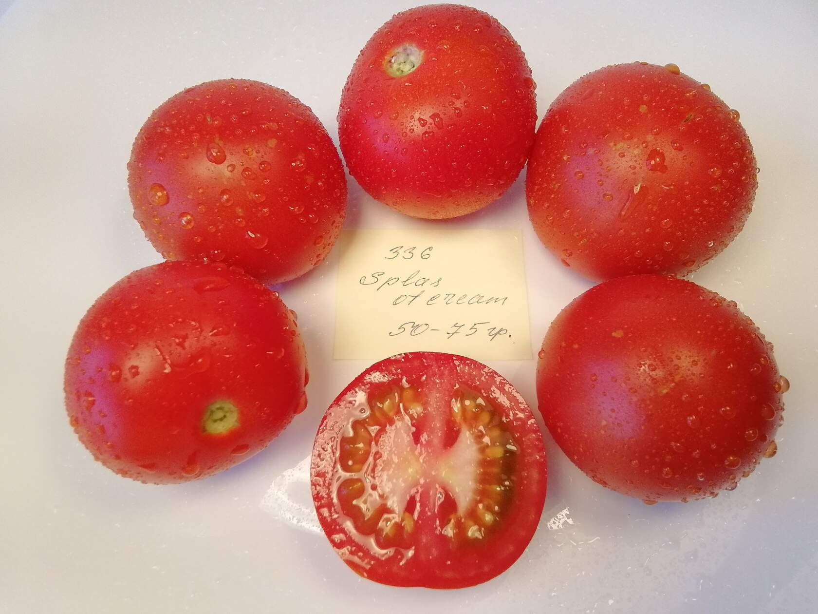 336 -  Splash of krem