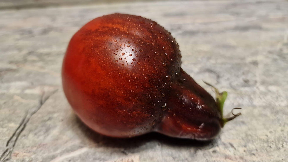 Thumbnail: 4443 - Sergeant Pepper's Bronze Fingers / Бронзовые Пальчики Сержанта Пеппера