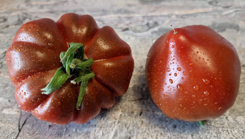 4440 - Nina's Truffle Heart / Трюфельное сердце Нины