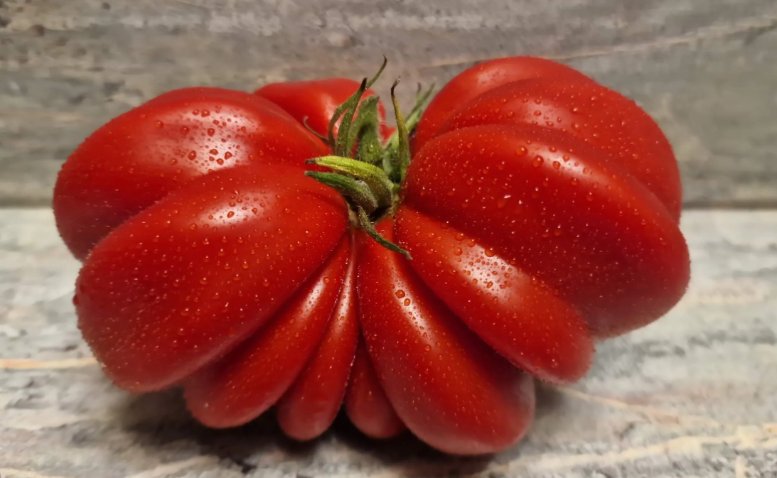 41 - Mushroom basket / Грибное лукошко