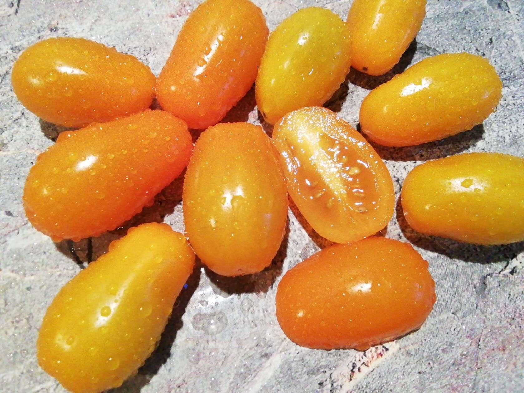 3977 - Оrange fountain / Оранжевый фонтан