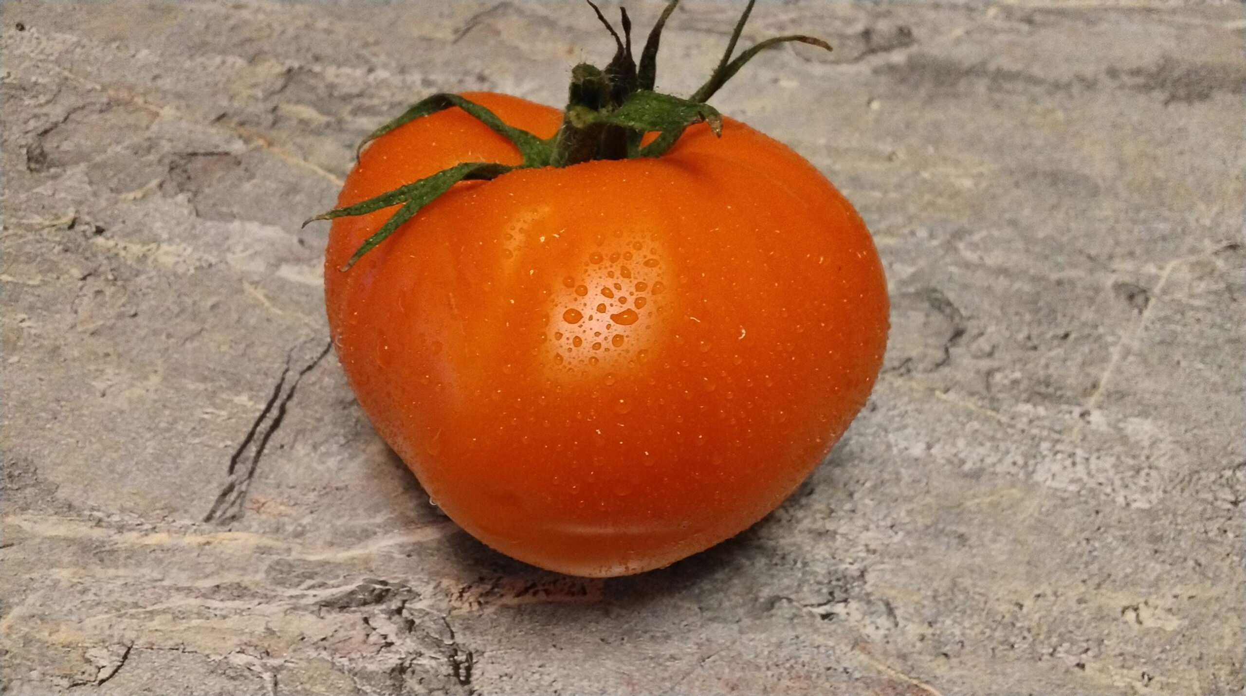 4462 - Cinderella orange  / Золушка оранжевая