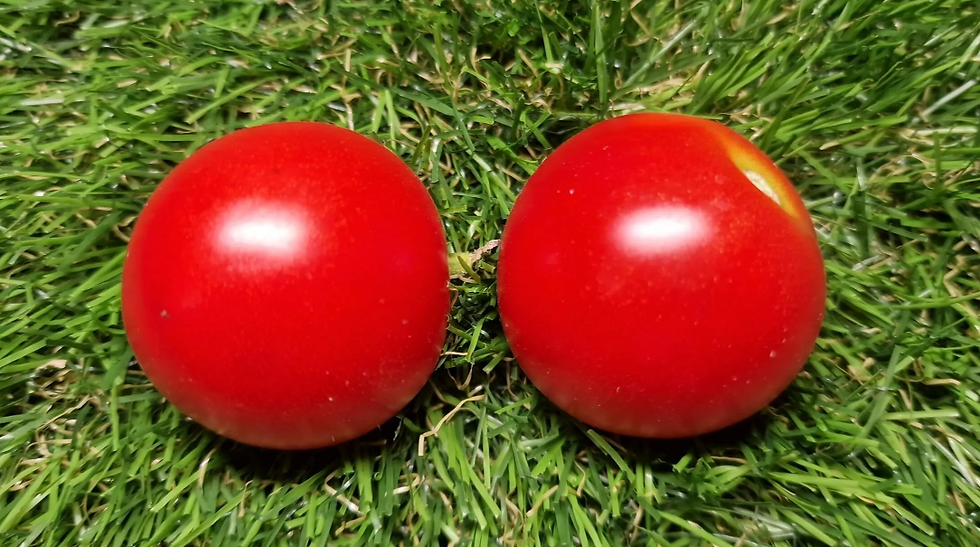 160 - Heinz / Хайнц