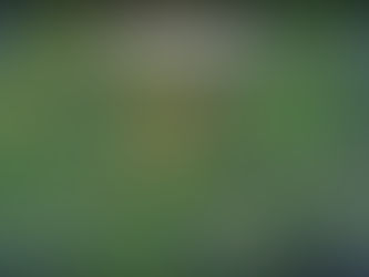 聖劍傳說 2 重製版 Secret Of Mana 劇情完全攻略