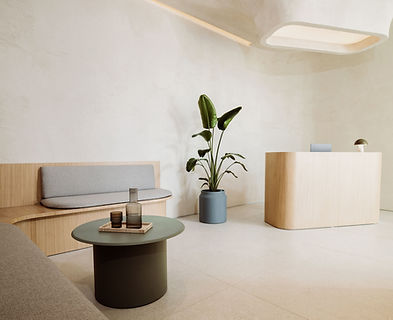 Minimalist reception area.jpg