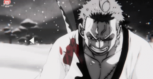 roronoa-zoro-wano.gif