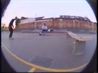 IMG_5113.GIF