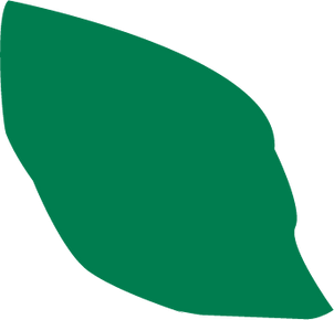 Albahaca1_edited.png