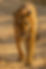 hans-jurgen-mager-Fbdr6gXJBVY-unsplash.j