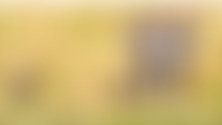 TN conservationists express reservationover cheetah translocation