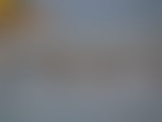 Rare spottings during Synchronized bird census by BCF INDIA's volunteers