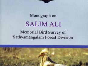 Survey Records 230 Species of Birds in Sathyamangalam Forests