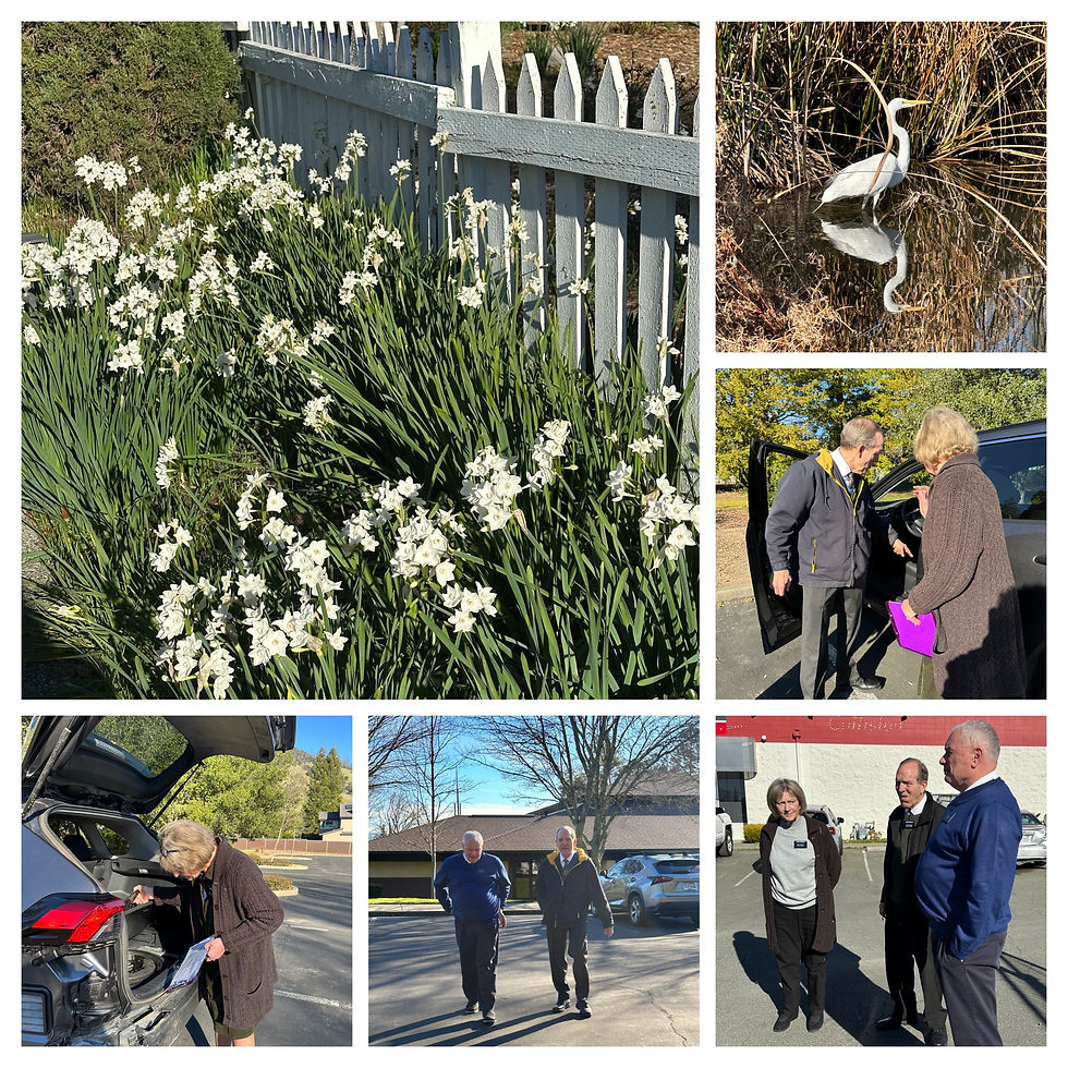 I went for a walk! We showed them how to inspect cars & took them to Carstar where we get cars repaired.