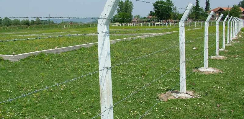 dikenli-tel.jpg