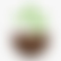 #Propagation: A Race Between Root & Rot?