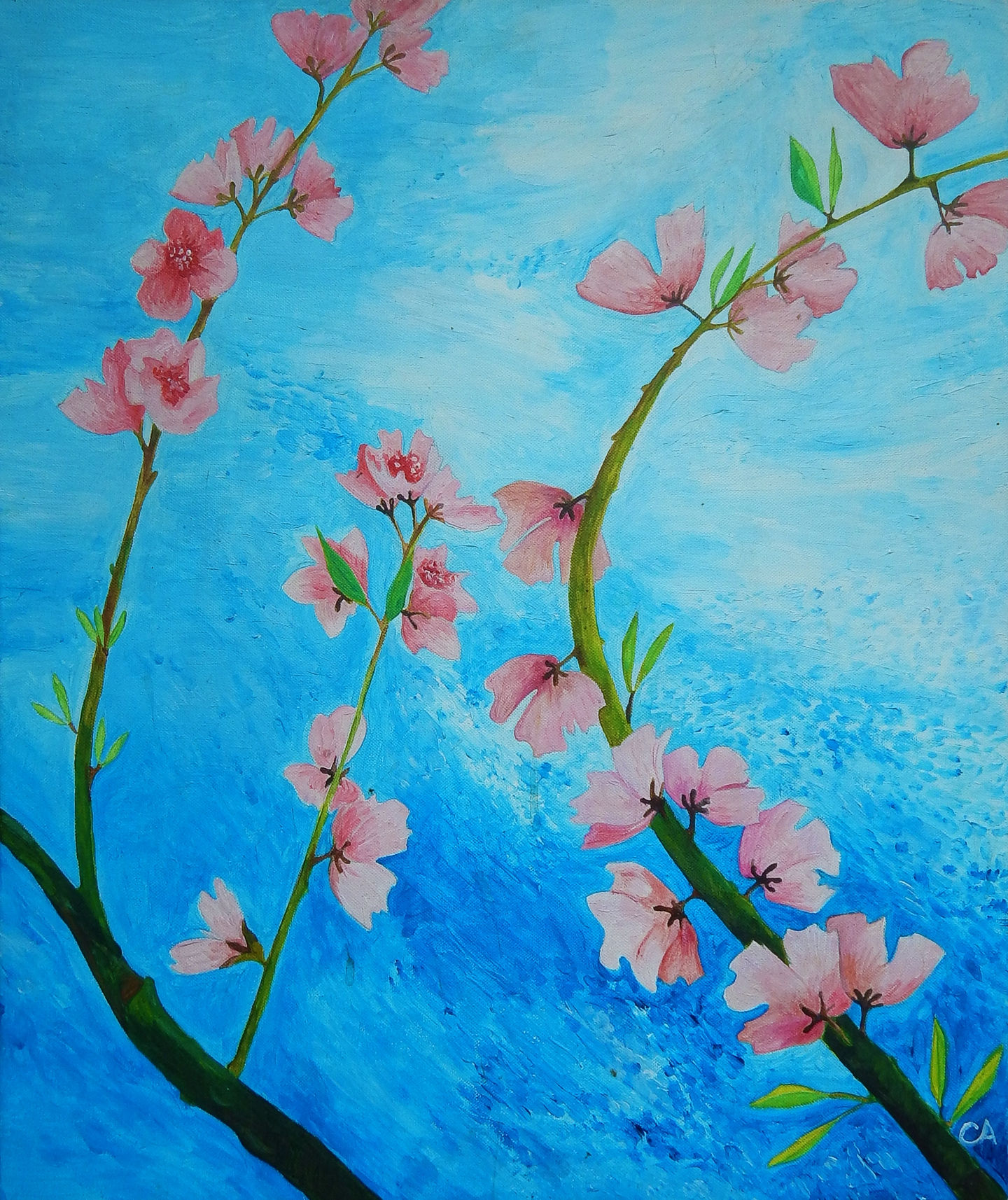 Cherry Blossom Print