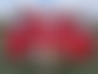 Cumann na mBunscol Mini 7s Hurling - A Hard Fought County Final Battle