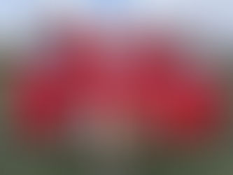 Cumann na mBunscol Mini 7s Hurling - A Hard Fought County Final Battle