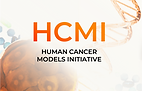 HCMI logo 4x3.png