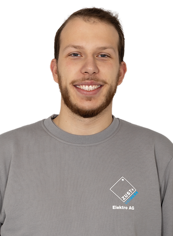 Ronaldo_Portraits_gesammelt_Zust_van_Her