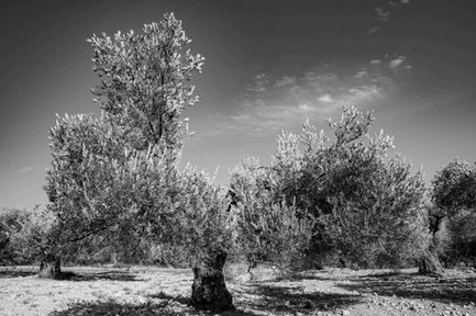 street_other-33