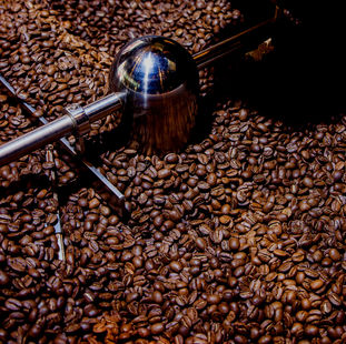 GUT DING BRAUCHT WEILE