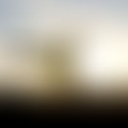 LOOPS, FLIPS & TWISTS