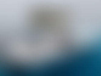 Spear Maldives 38ft fishing boat next to an uninhabited island