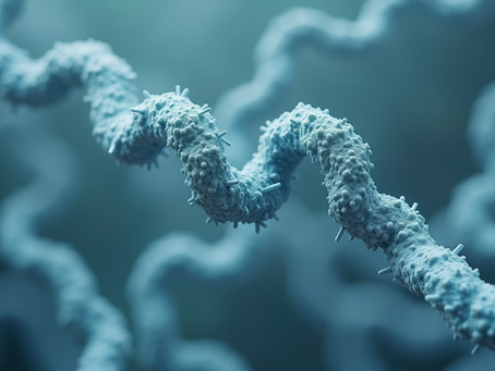 Are Mot-c Peptides the Future of Rapid Cell Penetration Exploring Current Research and Future Implications