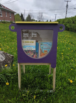 Croque-livres École Morency
