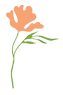 Flower 3_edited_edited.png