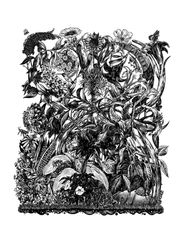 Le Jardin de Lucie - pr JF Brunet