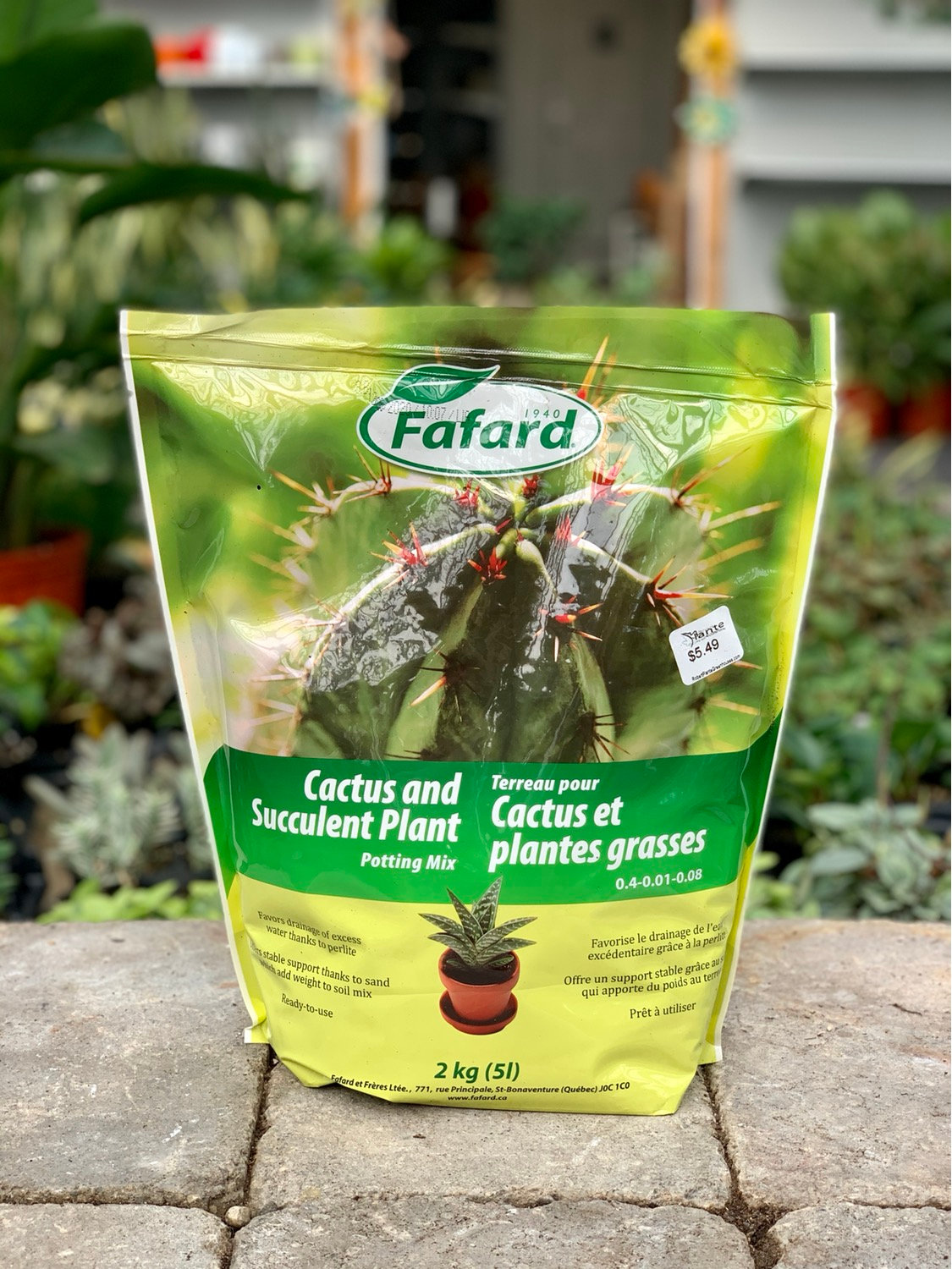 Fafard Cactus Succulent Potting Mix 5l Robert Plante