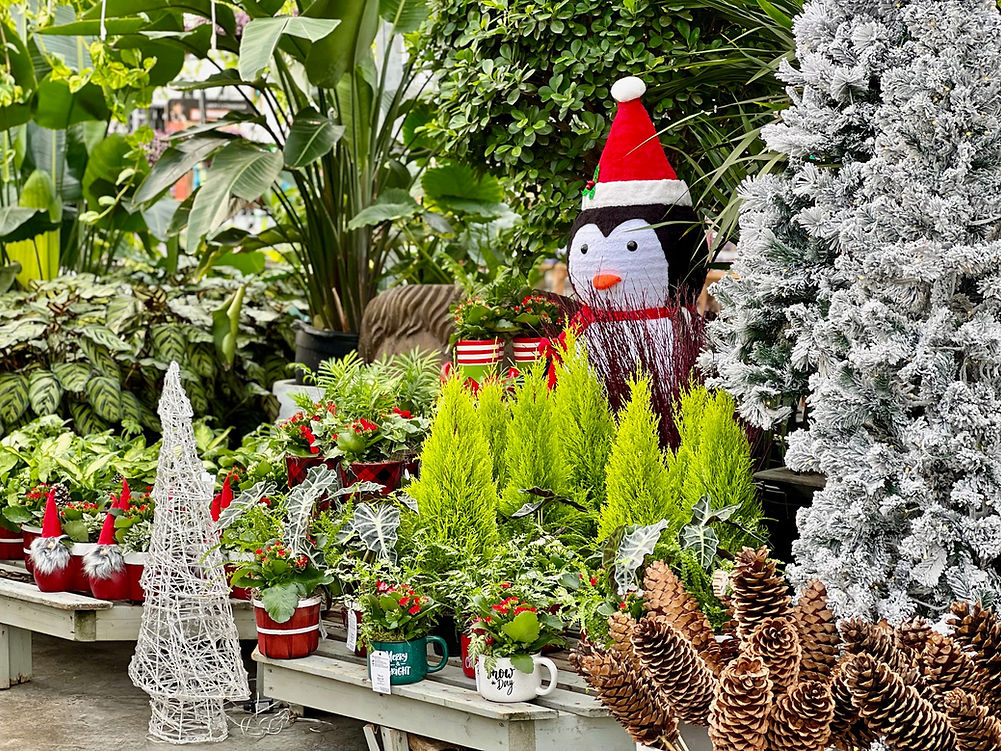 Robert Plante Greenhouses Ottawa's Premier Garden Center