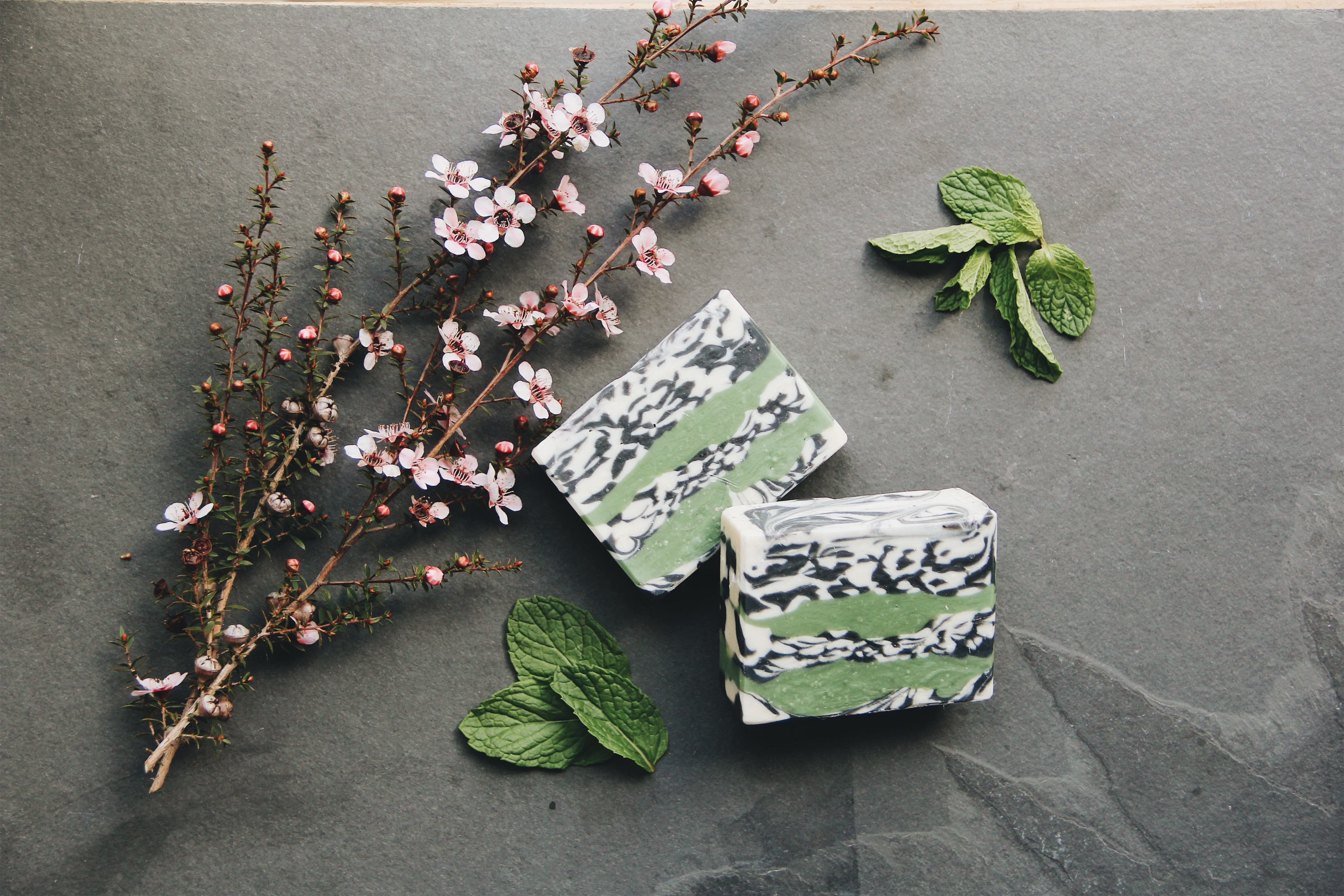 Mint Tea Bar Soap