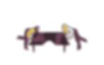 double pianiste.png
