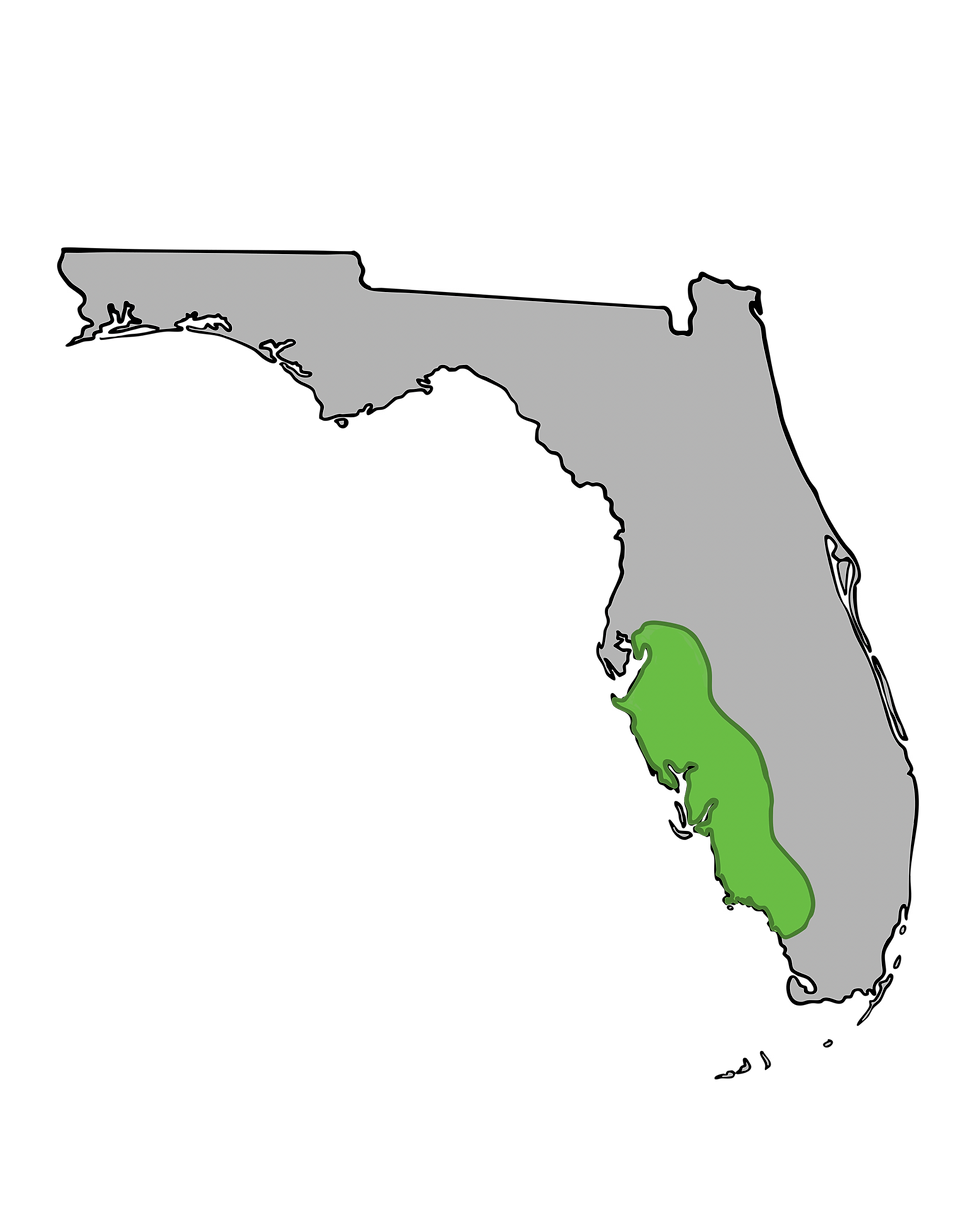 Extreme Companies of Florida