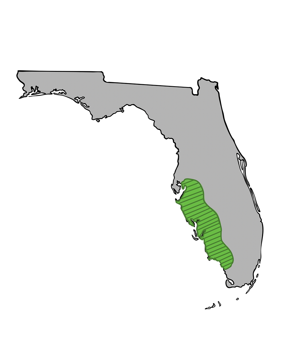 Extreme Companies of Florida