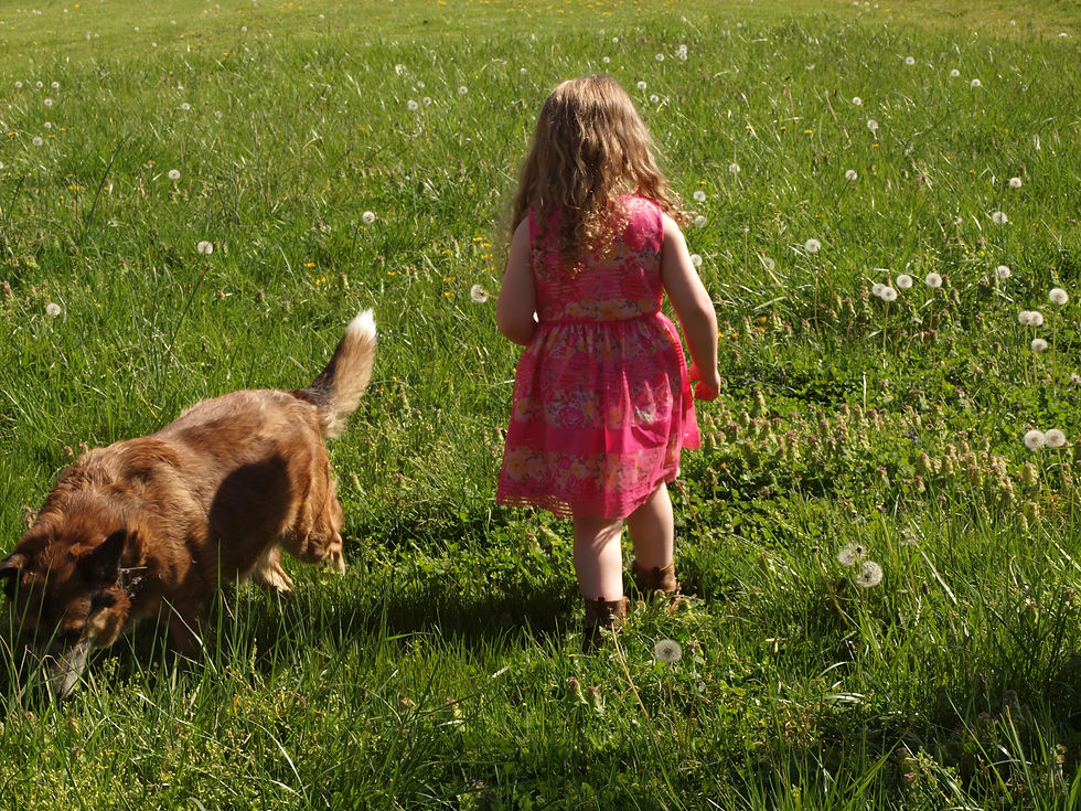 Maggie hunting for wishes #1