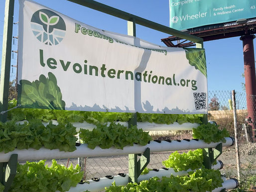 Levo International's Mission is Impossible Without Volunteer Support