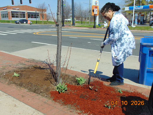 Volunteers Offer a Helping Hand to Beautify Upper Albany Ave
