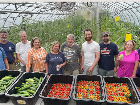 Levo International's volunteers