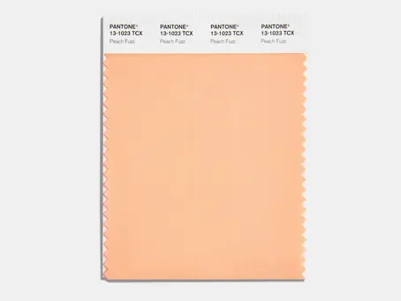 Peach Fuzz has been selected the Pantone Colour of the Year 2024. It is compassionate and loving.