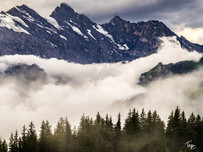 untitled shoot1306-Edit-3.jpg