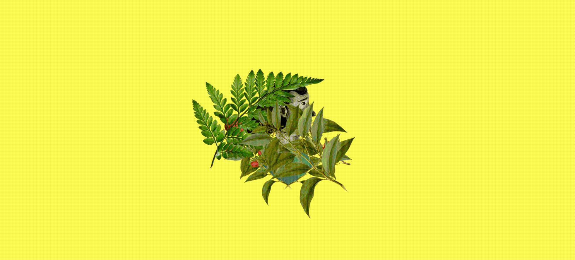 Comp-1_7.gif