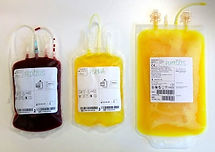 blood-components-in-bags-small.jpg