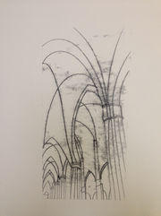 IMG_4705.jpeg