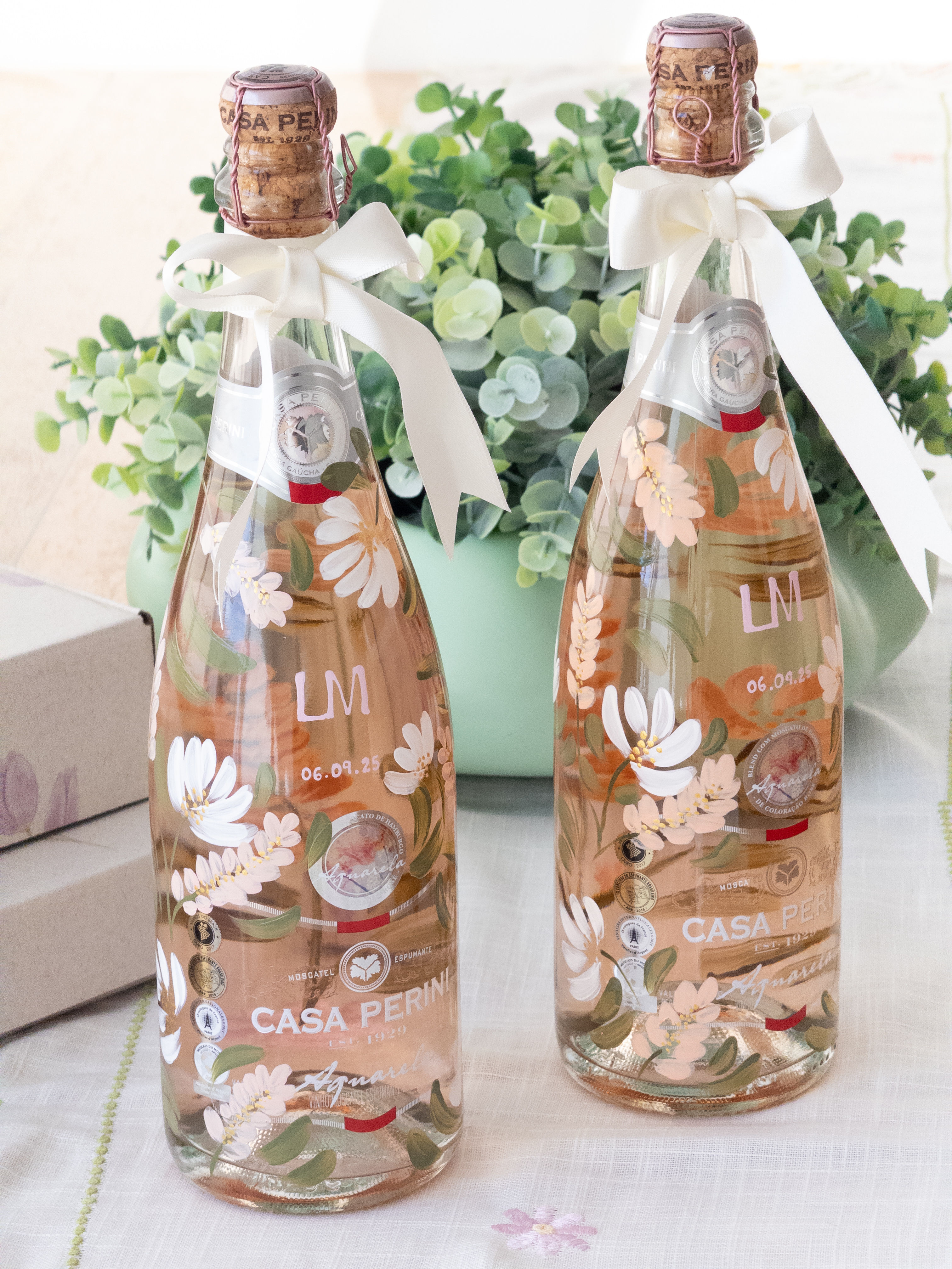 Garrafas Champanhe/Vinho 750ml