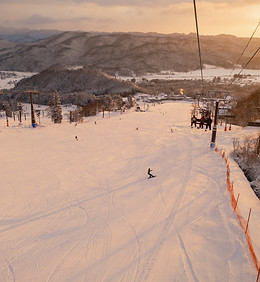 DSCF8787.jpg